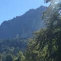 Neuschwanstein