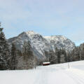 Langlauf Loipe Ramsau Taubensee