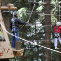 Kletterwald