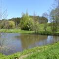 Weiher am Spitalbach