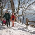 Winterwandern auf der Soleleitung im Bergsteigerdorf Ramsau