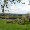 Schöne Aussicht vom Hegnenberg