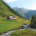 Steineralm, Blick auf die Obere Steineralm, dahinter die Wellachköpf