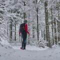 Winterwandern