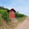 Weinberghäuschen am Kronberg