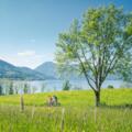 E-Bike Tour am Tegernsee