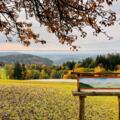 Forsthaus Hinteredt - Ausblick Windschopf