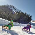 Söll_Rodeln_Rodelbahn Hexenritt_Wilder Kaiser