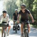 DonauSommerRadfahrenGruppe_OberoesterreichTourismusGmbHRobertMaybach