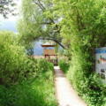 Der Weg zum Beobachtungsturm über einen hölzernen Steg.