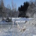 inzell winter landschaft 06