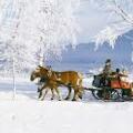 Pferdeschlittenfahrt - Schneider Georg