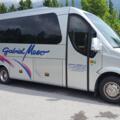 20-Sitzer Bus Taxi Gabriel Moser Alpbach
