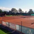 Tennisplatz Münster