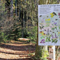 Bienenweg Velden mit Infotafel