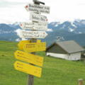 Bichler Alm 1438 m
