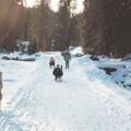 Rodelhänge am Hohenpeißenberg