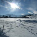 Wintewanderung nach Wegscheid