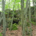 Höhle Nr. 2 versteckt sich in verblocktem Gelände