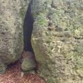 Mittelbergwandhöhlen (Nr. 27)