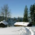 Schwaiger Alm Winter