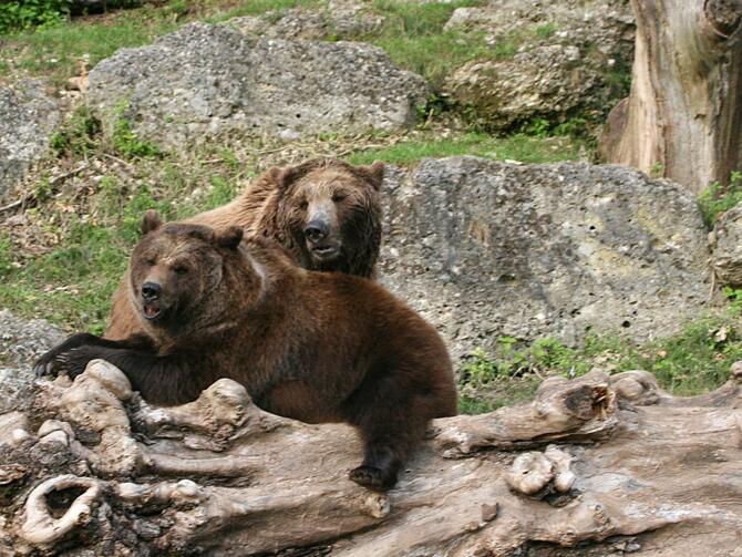 Zoo Salzburg