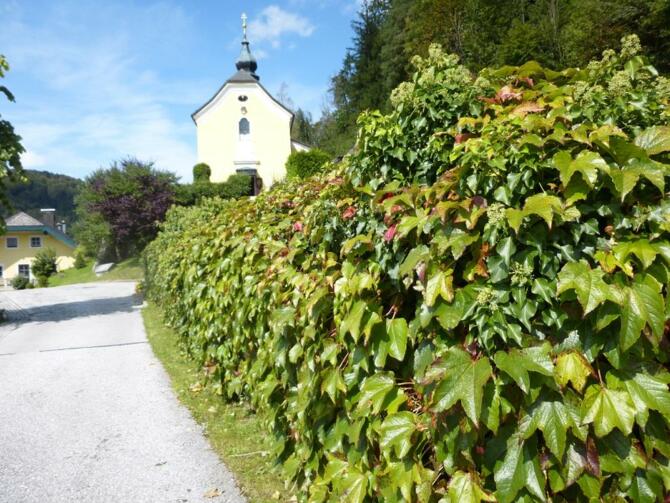 Kirche