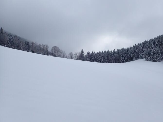 In der Senke der Sattelalm