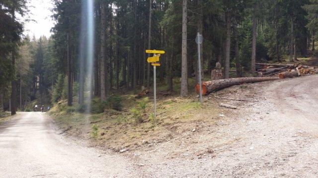 Auf der Verflachung nach den ersten Steilen 200 Höhenmetern kommt die Abzweigung zum Stockerhof. (Rechts weg würde eine Forstraße zur Kreitheralm führen.)