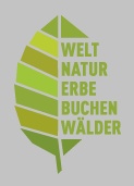 UNESCO Weltnaturerbe Buchenwälder