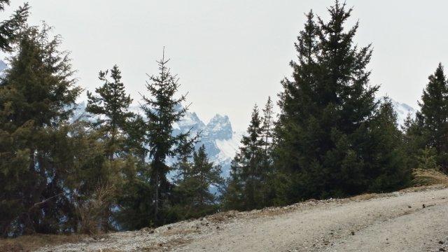 Blick zu Kirchdachspitze ...