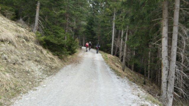Steil bergauf führt die Straße zumindest 300hm ohne Erholungsphase.