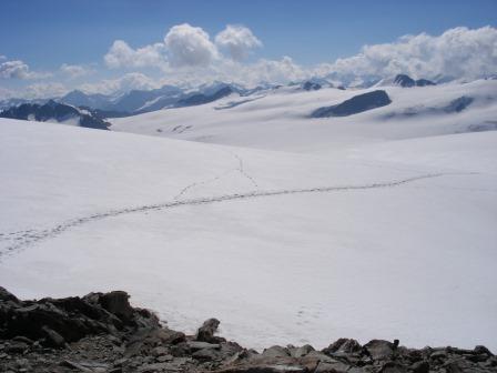 Auf dem Gepatschgletscher