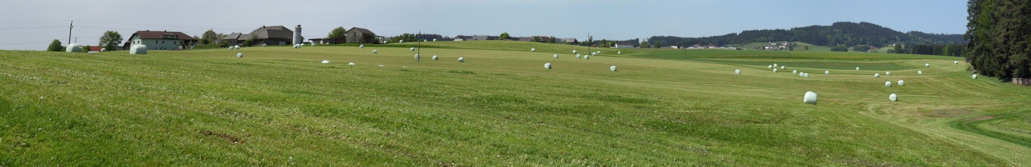 Die hügelige Landschaft des oberösterreichischen Mühlviertels
