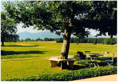 Blick von der Sonnenterrasse auf den See und die Berge