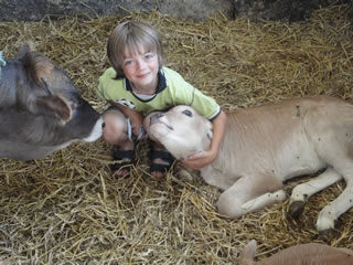 Landwirtschaft hautnah erleben