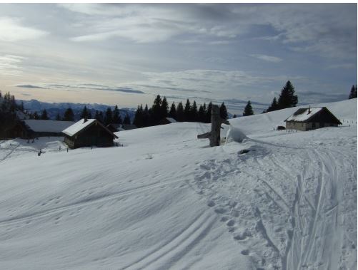 Die Leonsbergalm