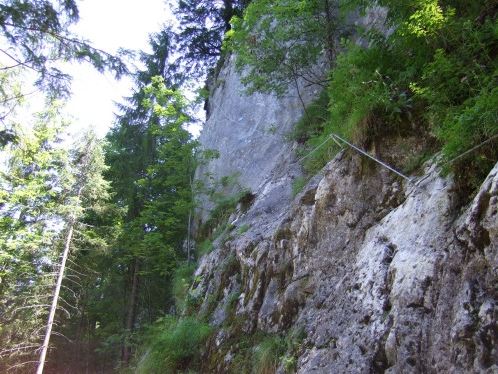 Einstiegswand = Ahornplatte