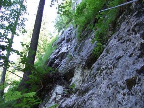 Der erdige Lärchenblock