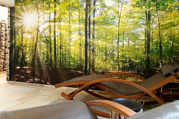 Ruheraum im hofeigenen Wellness - Bereich