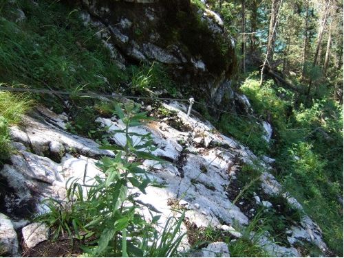 Das Zwischenspiel ist auch nicht der Rede wert