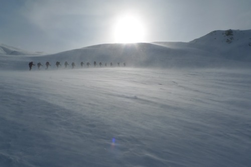 vom Winde verweht bei minus 22 Grad!