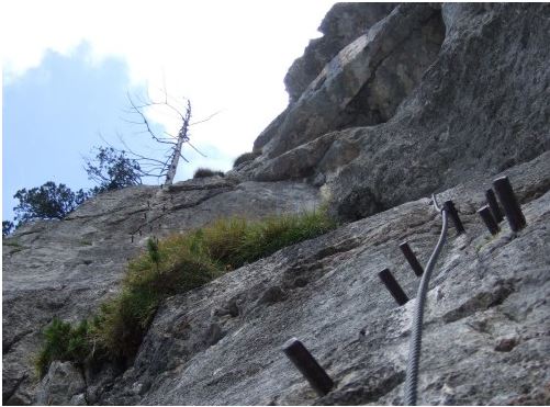 Der Igel - zugespickt mit Trittstiften