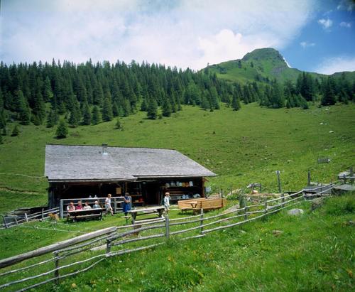 Hühnerkaralm, 1.700 m