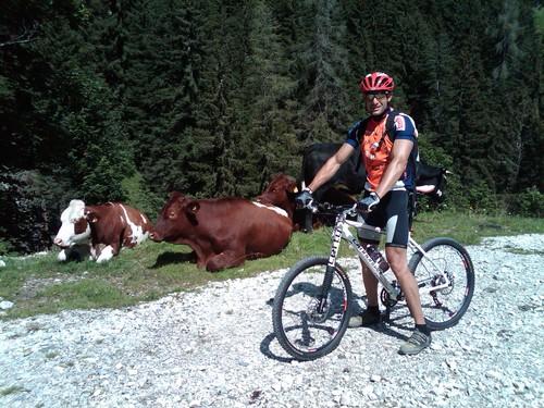 Auf dem Weg zur Südwienerhütte