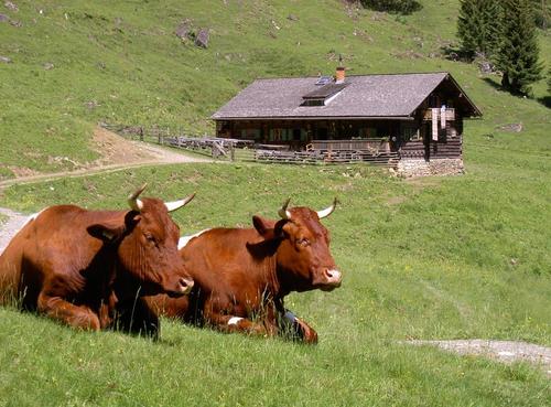 Aigenalm-Paulhütte