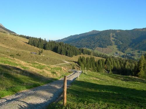 Auffahrt zur Pichlalm