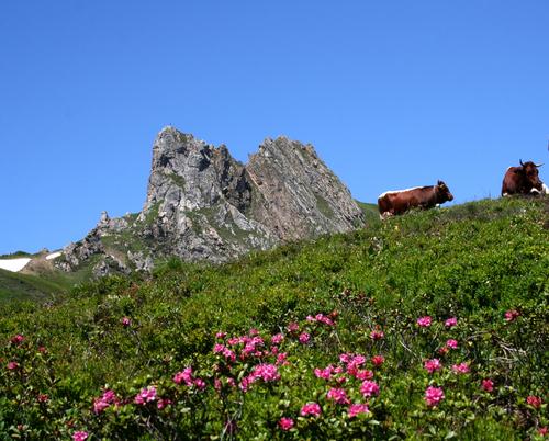 Blick zum Schuhflicker