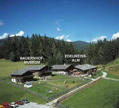 Edelweissalm