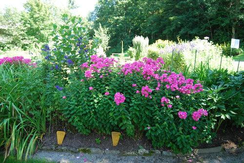 Kräutergarten
